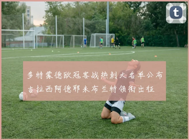 多特蒙德欧冠客战热刺大名单公布吉拉西阿德耶米布兰特领衔出征