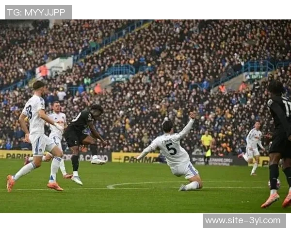 利兹联球迷两度向热刺球员投掷物品或将遭遇高额罚款